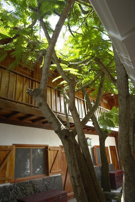 The Wooden House Hotel Puerto Villamil Exteriér fotografie